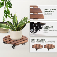idzo close-up of acacia wood grain highlighting durable hardwood and attractive warm finish for decor