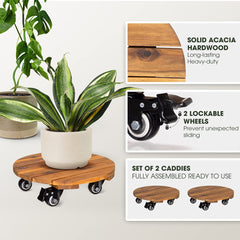 IDZO close-up of acacia wood grain highlighting durable premium hardwood