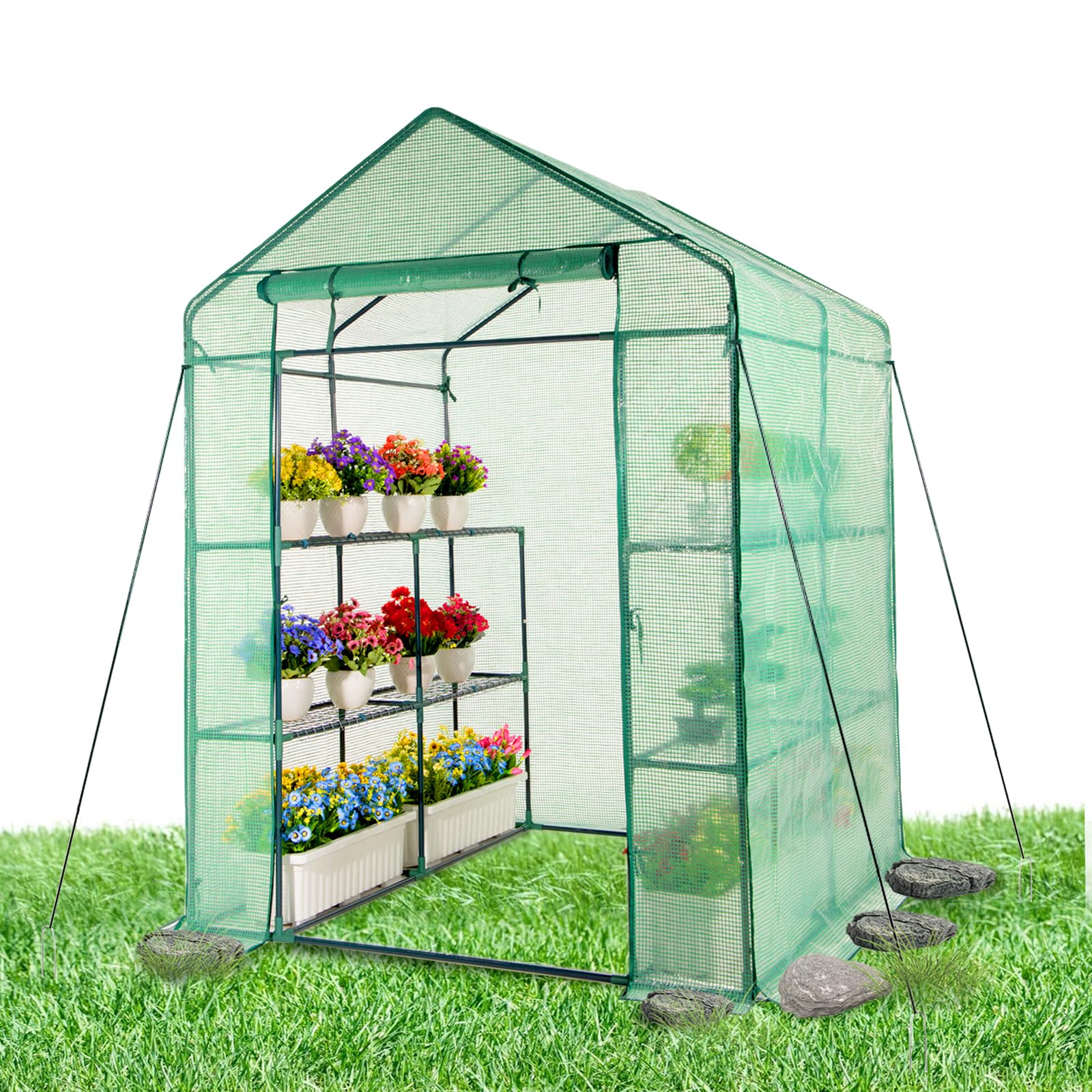 IDZO front overview showing full greenhouse and organized plant benefit