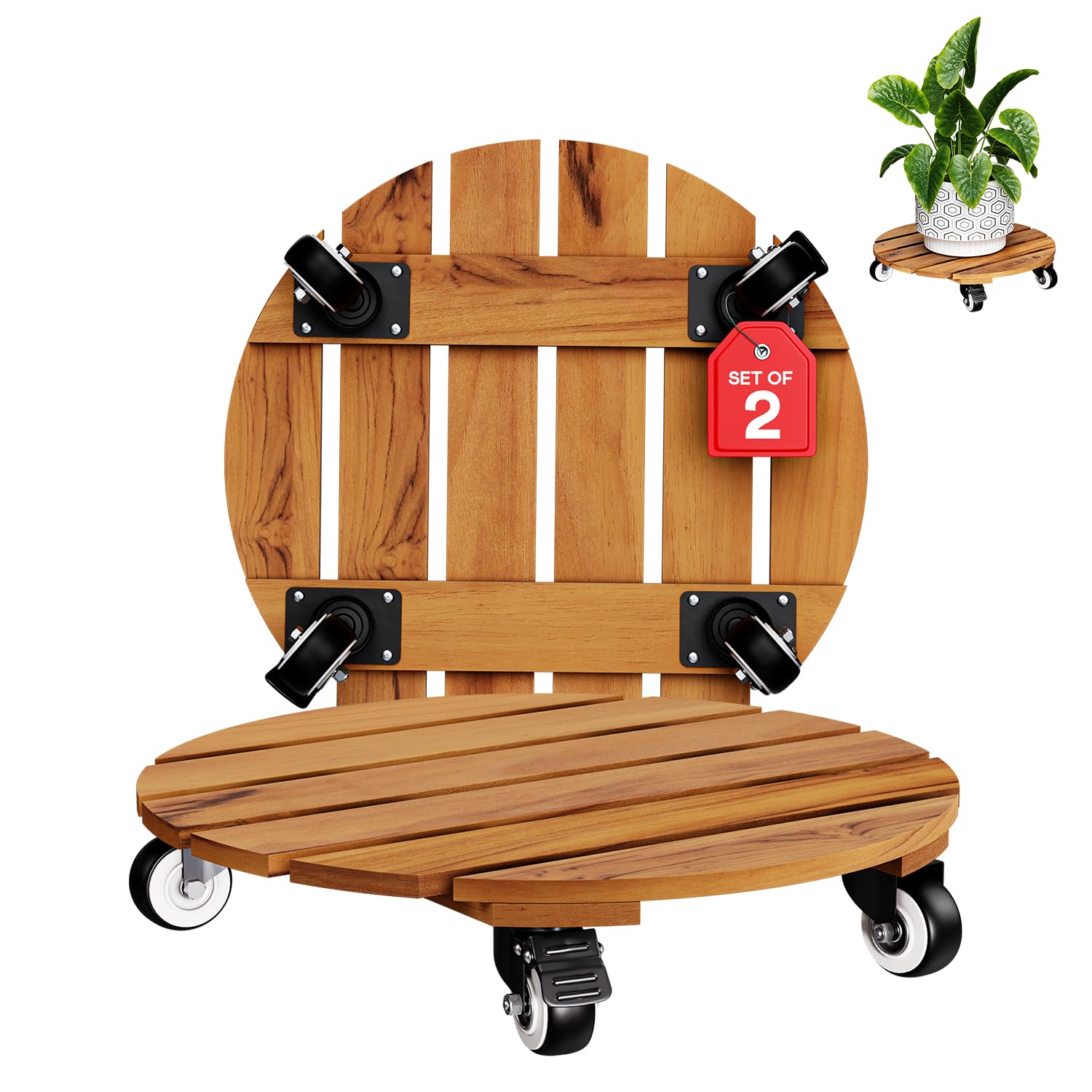 IDZO front view of round acacia plant caddy showing natural finish and profile, stylish mobility
