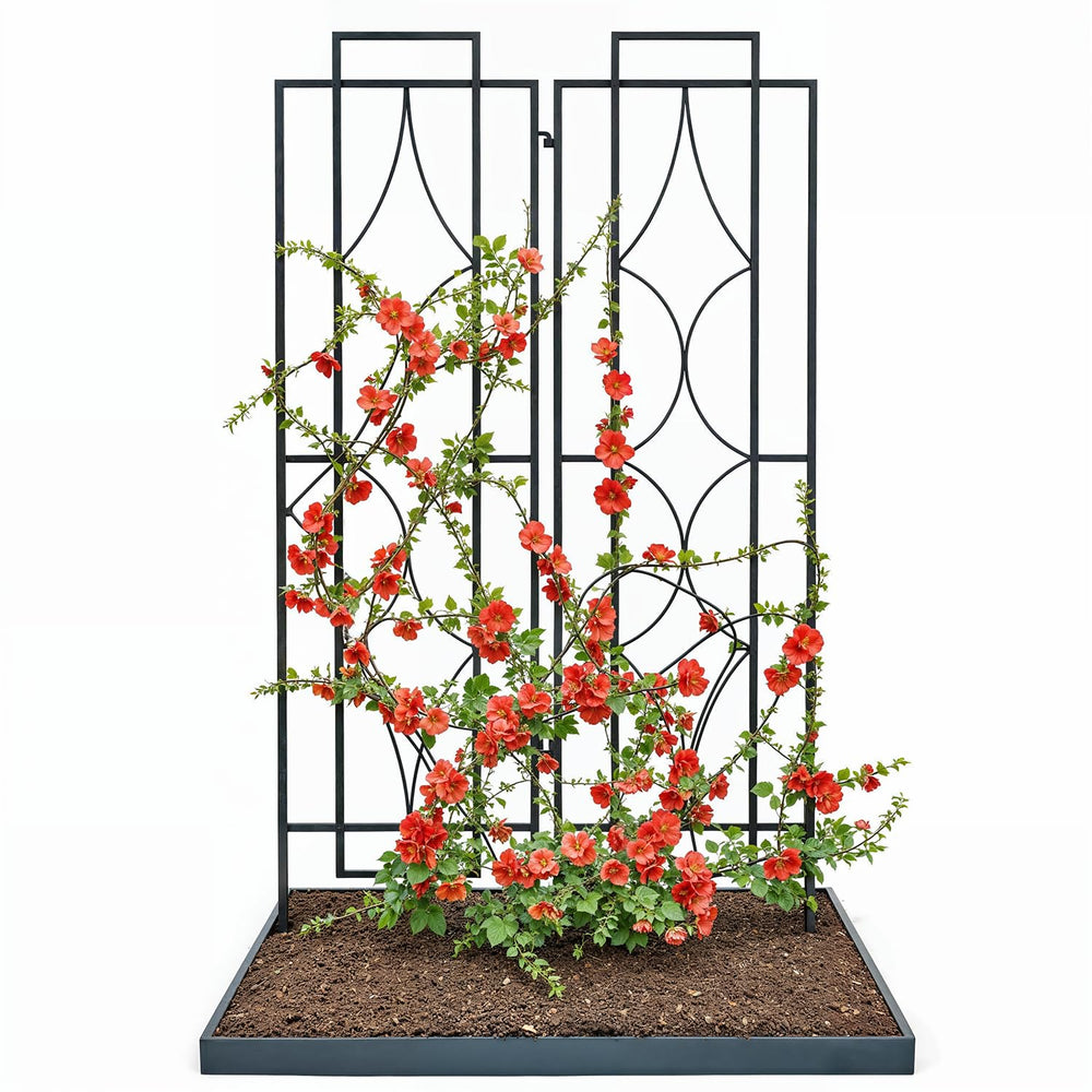 IDZO front view of diamond trellis showing elegant support and curb appeal