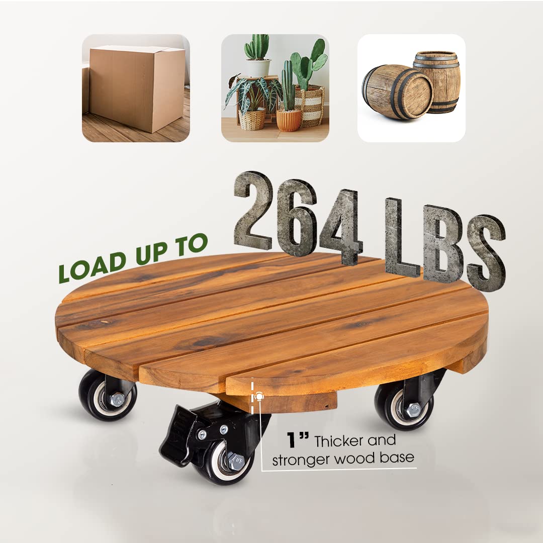IDZO plant caddy under a large indoor pot in living room, protects floors and eases moving