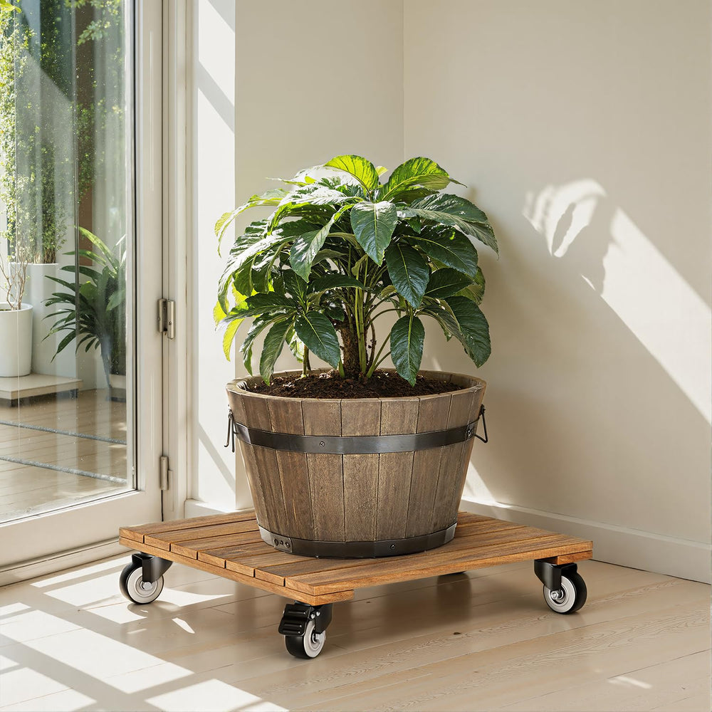 IDZO lifestyle scene with matching caddies in living room, enhances home decor flexibility