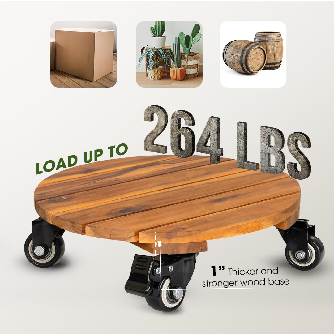 IDZO plant on caddy in living room demonstrating easy indoor mobility