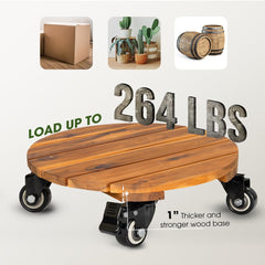 IDZO plant on caddy in living room demonstrating easy indoor mobility