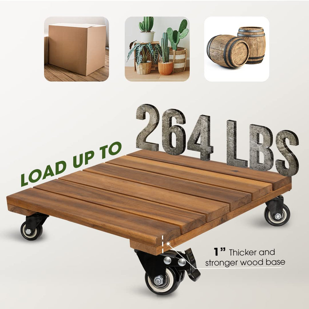 IDZO caddy beside standard potted plant for scale, clarifies size and fit
