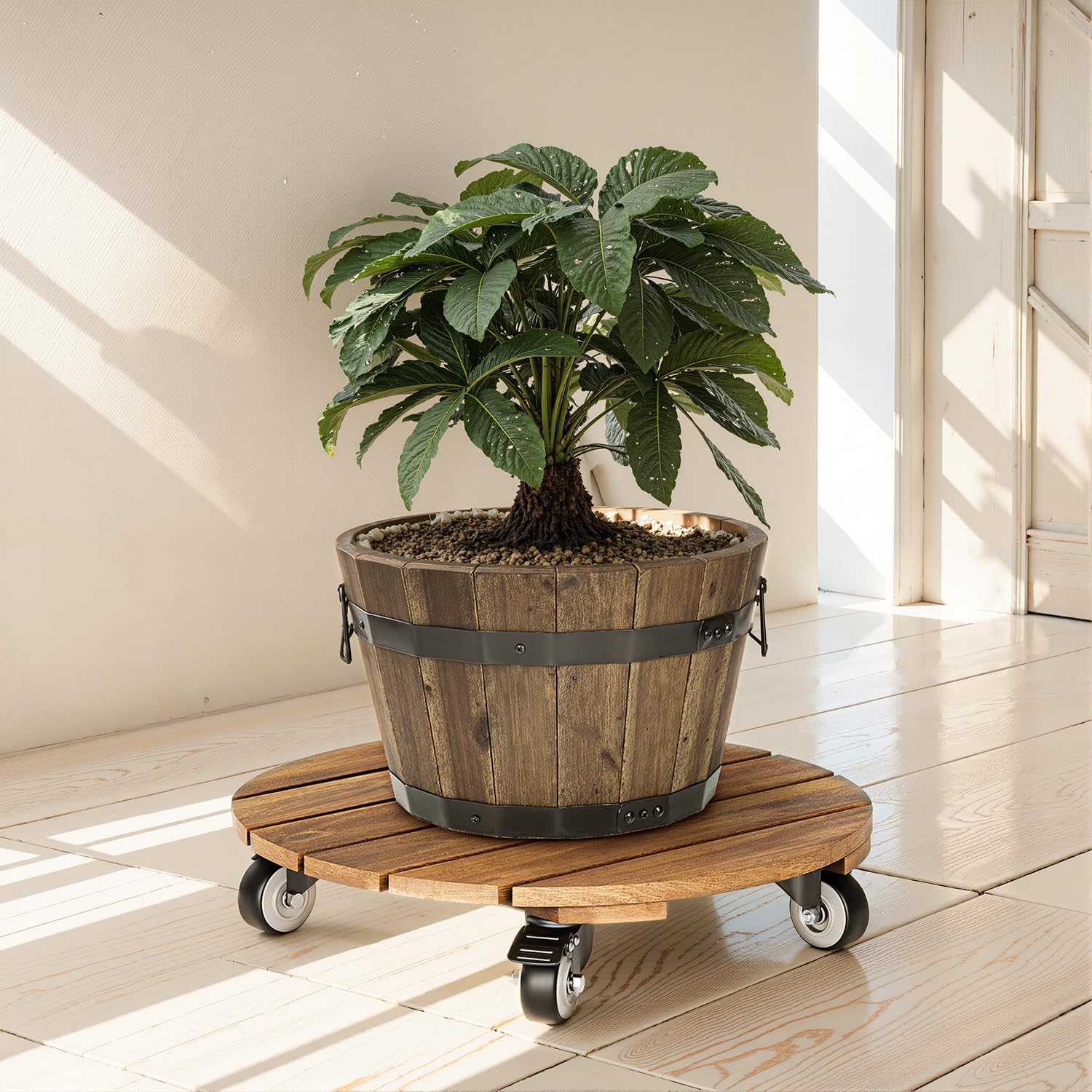 IDZO caddy beside a hand and ruler for scale, clear size guide for planter selection