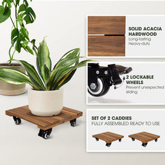 IDZO acacia wood close-up highlighting grain and finish, shows durable natural beauty