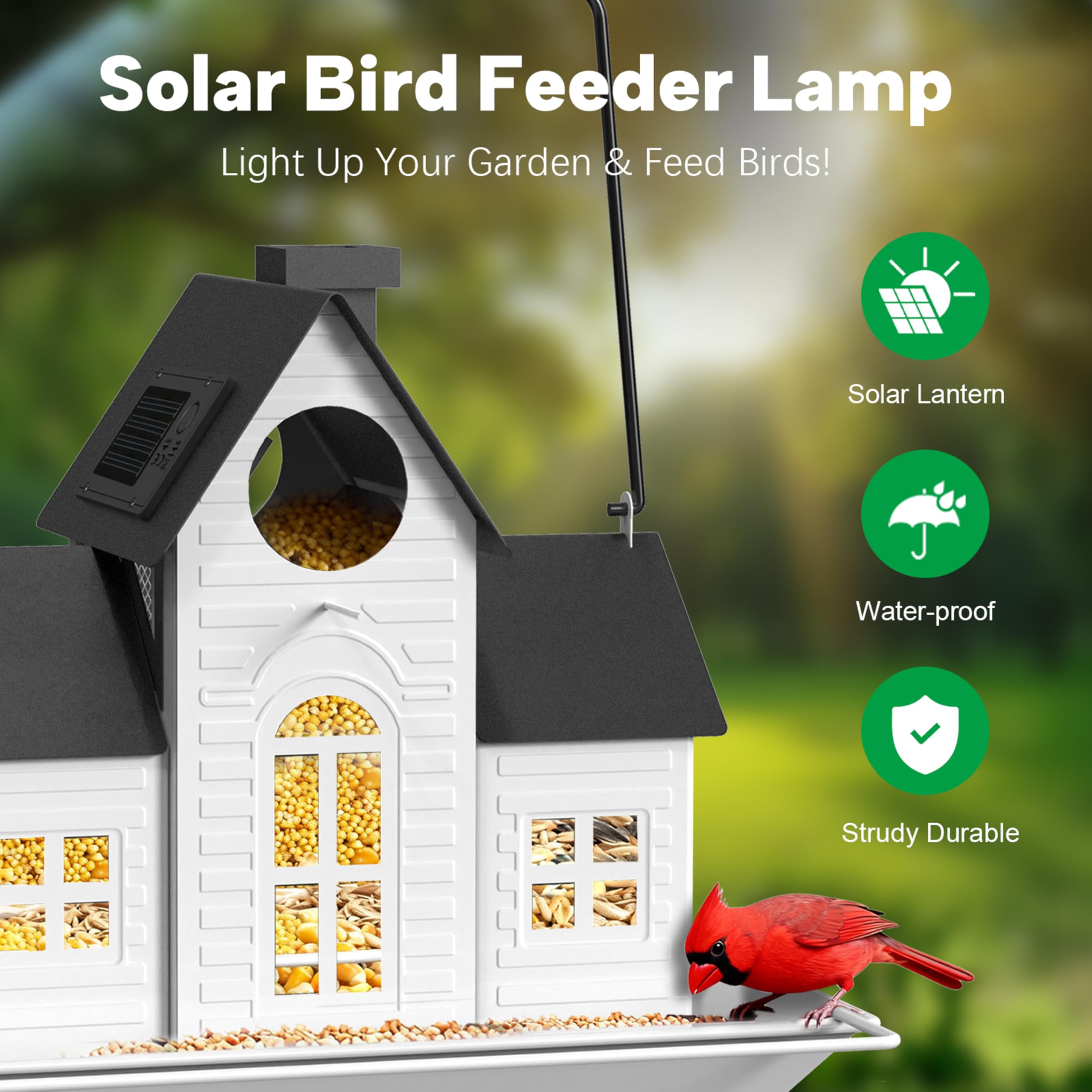 iemahor feeder with cardinal visitor attracting vibrant backyard birds