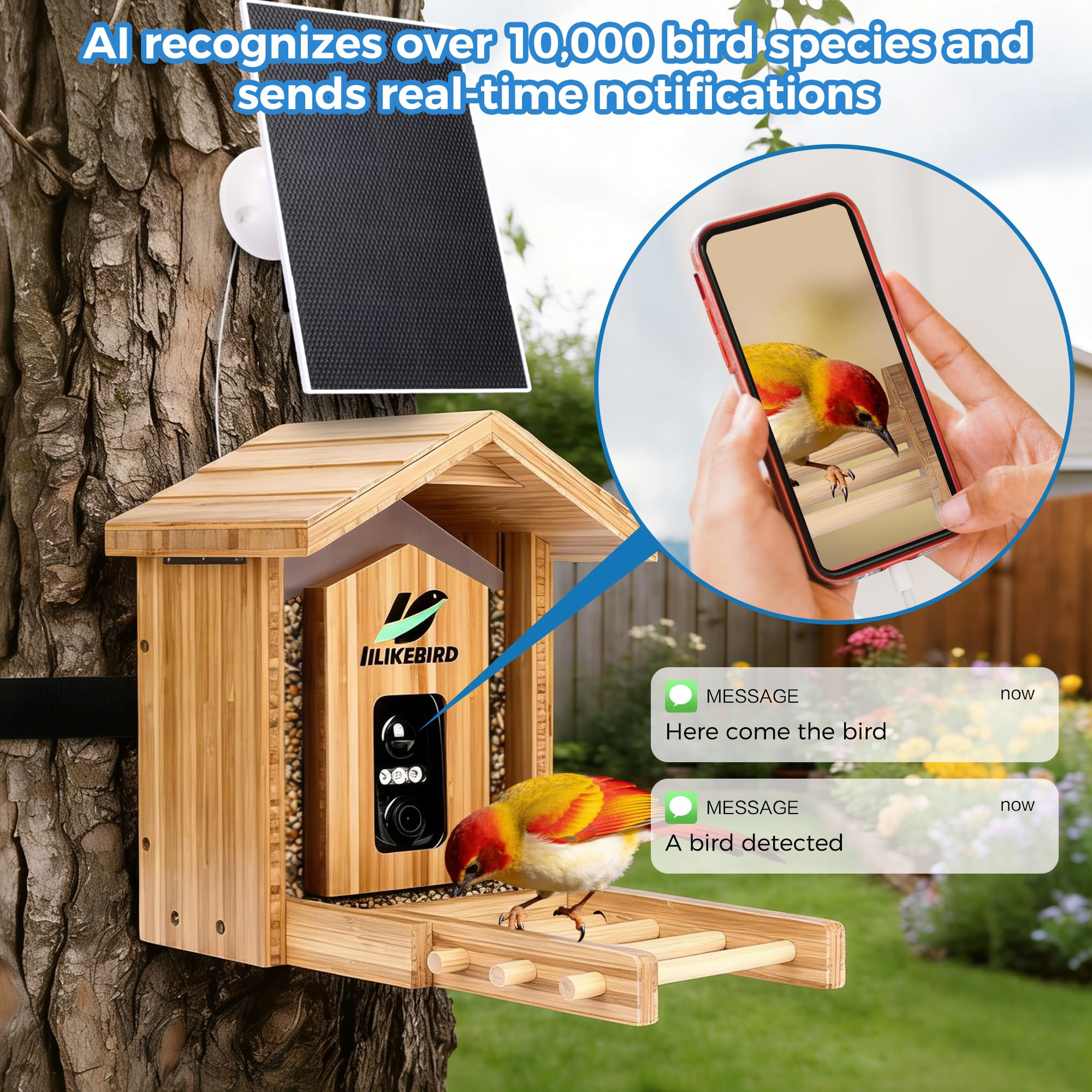 IILIKEBIRD feeder hung in a garden with visiting birds, shows real-life use and birdwatching enjoyment