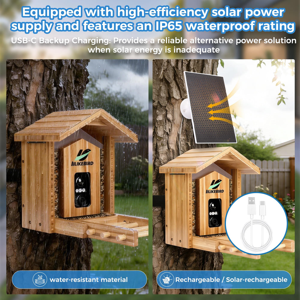 IILIKEBIRD night vision shot capturing birds in color, ensures clear nocturnal observation benefit