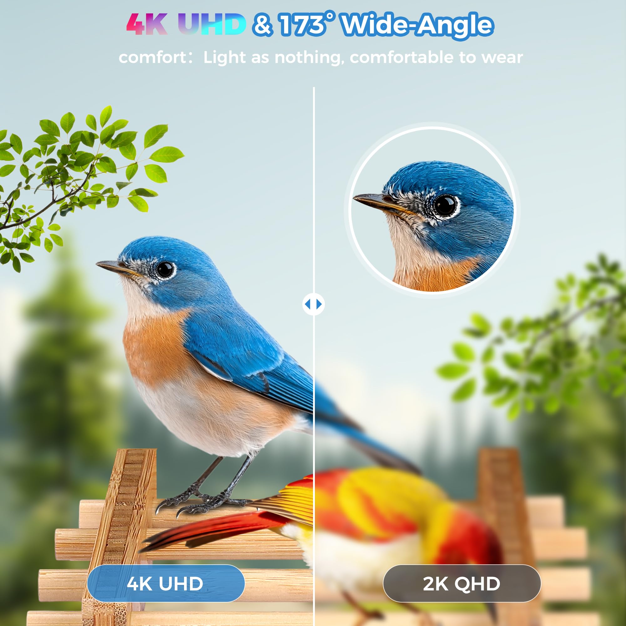 IILIKEBIRD feeder held next to a hand for scale, clarifies compact size and 1.25L capacity advantage