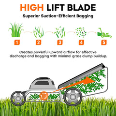 ILONPA blade edge thickness close-up proving durable, long-lasting cutting surface