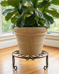iLTreFlo in living room with plant, stylish decor and airflow benefit