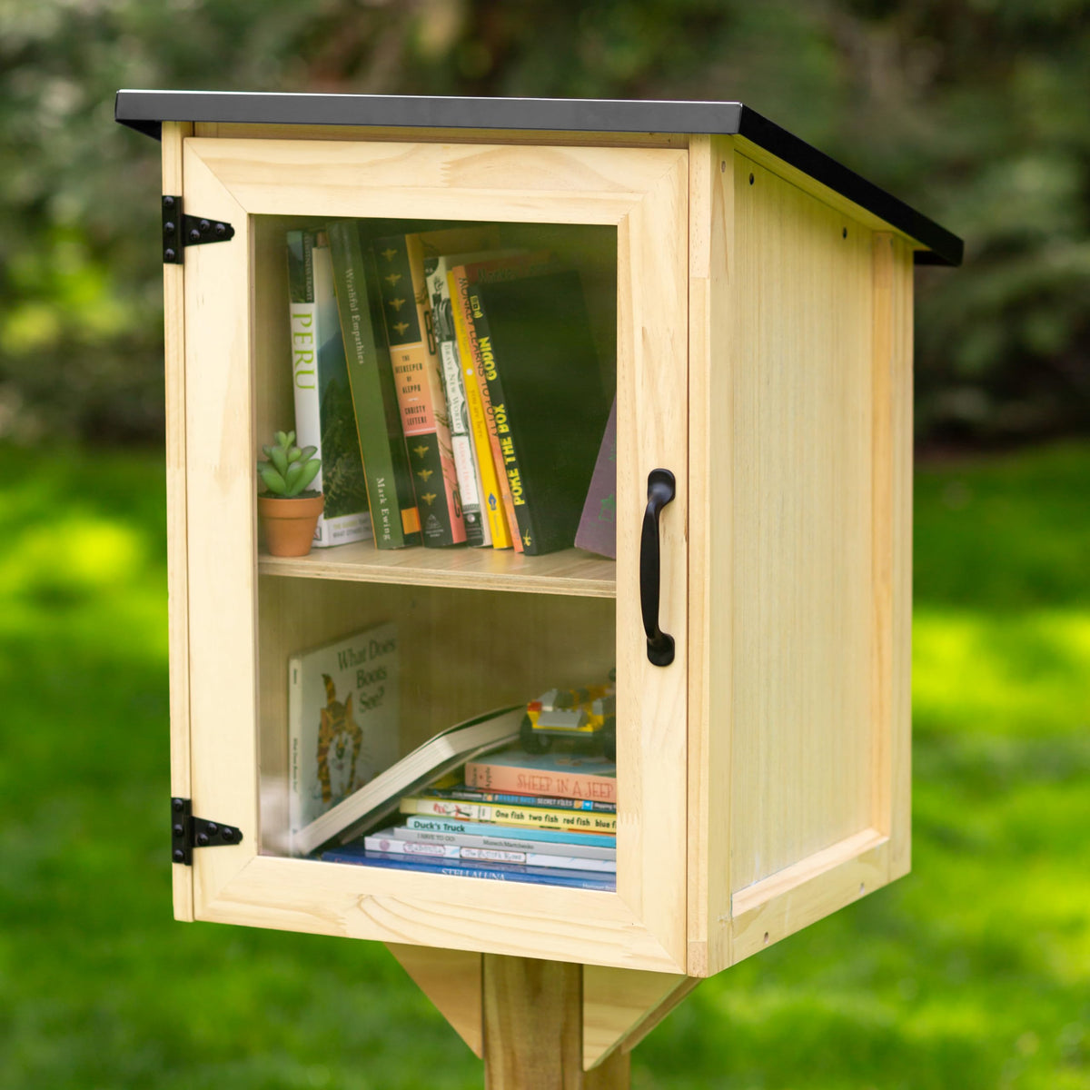 Ilyapa front view showing wood box and clear door inviting readers