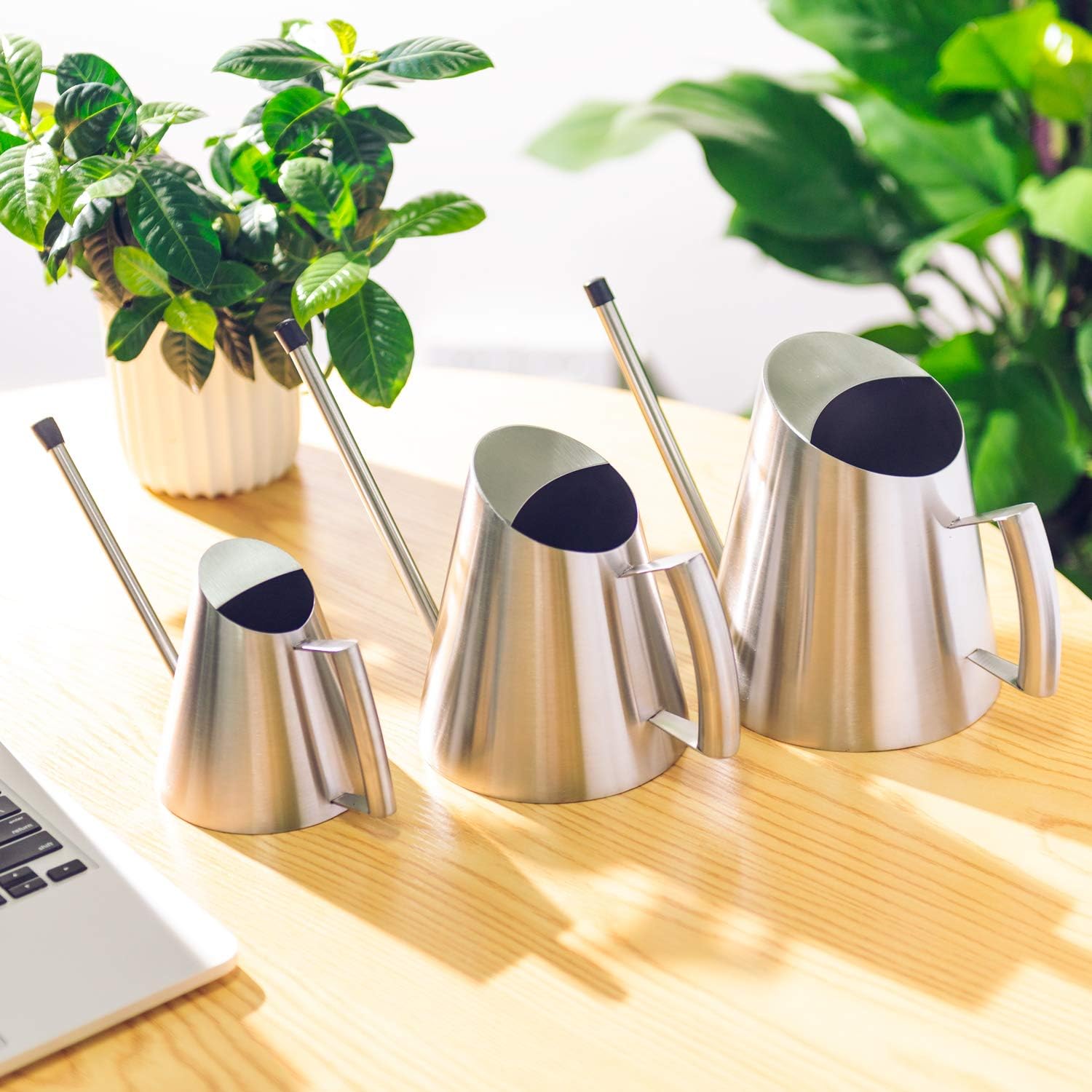 IMEEA lifestyle shelf display among houseplants illustrating stylish storage and functionality