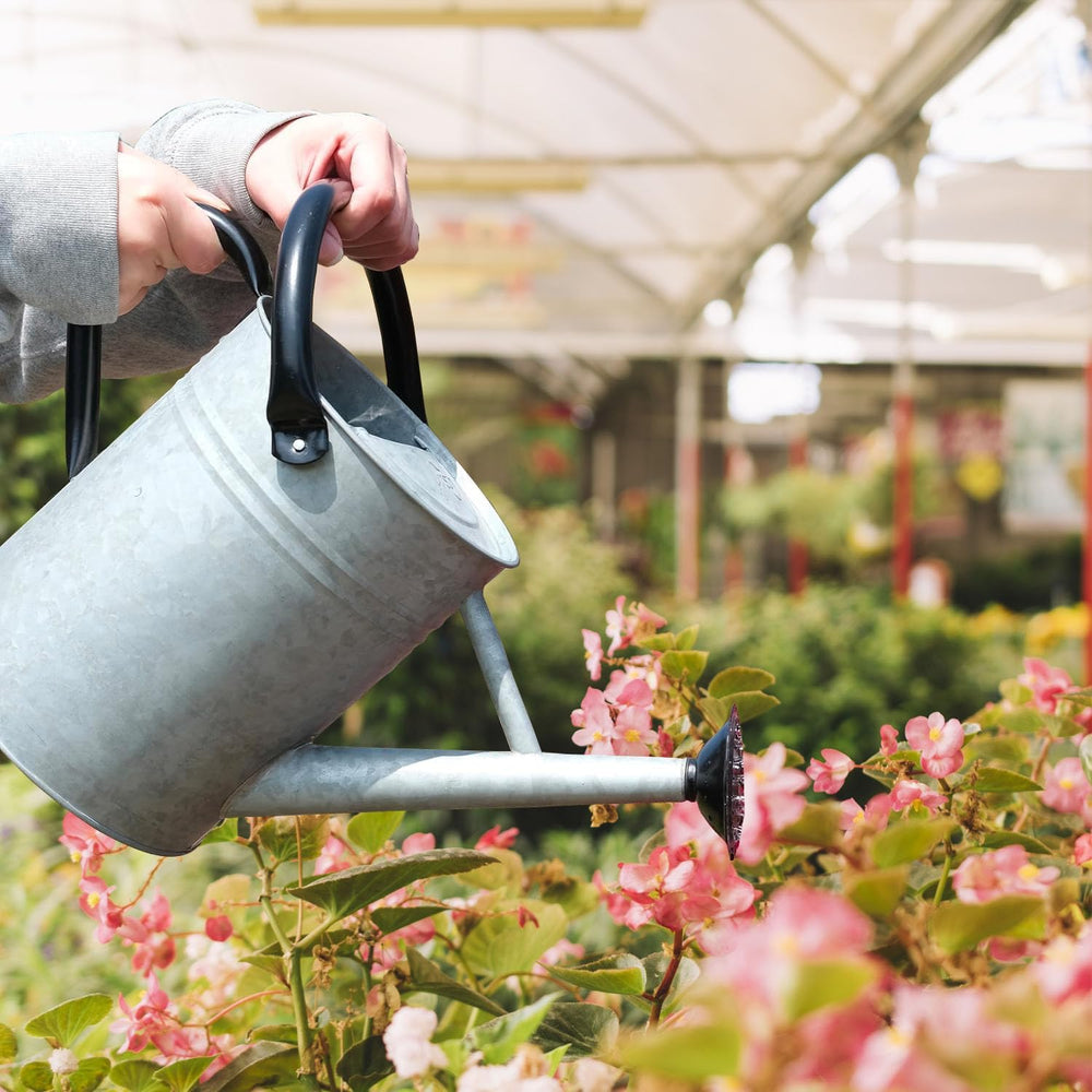IMIMHOME watering can filled beside potted plants showing capacity and scale benefit