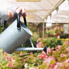 IMIMHOME watering can filled beside potted plants showing capacity and scale benefit