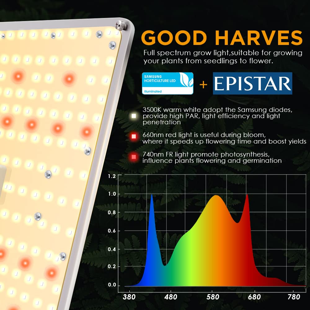 IMVSINCERE close-up of Samsung LM301 diodes highlighting efficient photon output