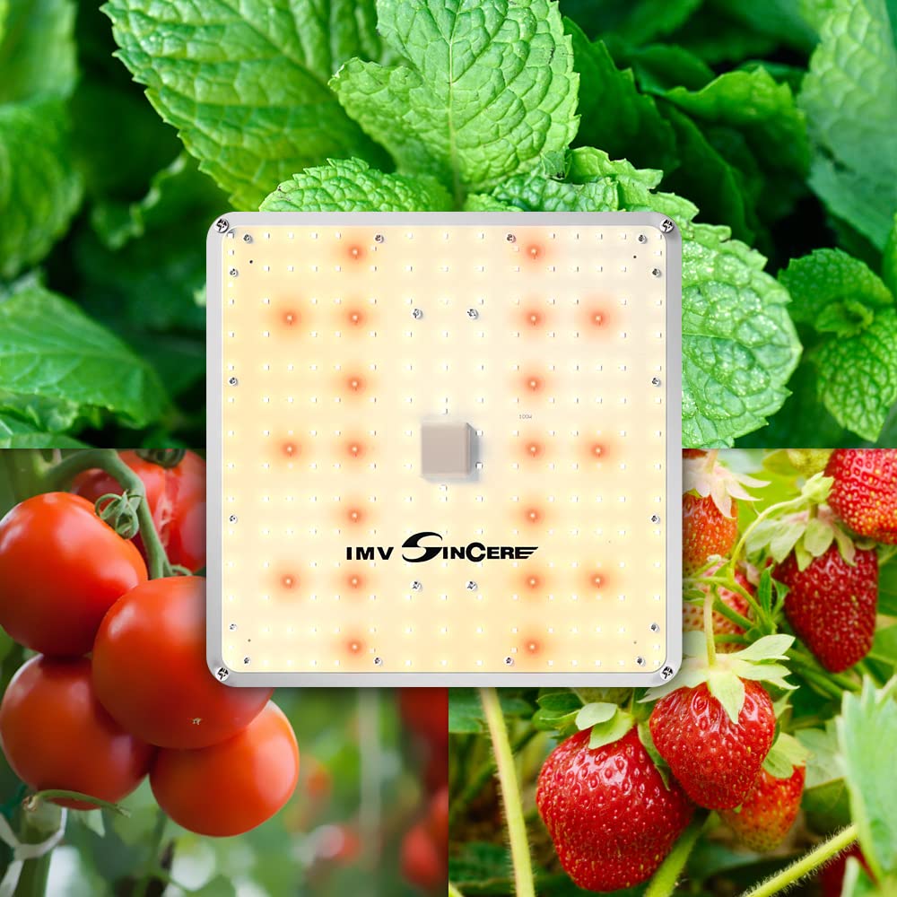 IMVSINCERE product label and specifications showing clear feature information