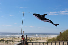 In the Breeze pole displaying windsock in breeze showing visible motion benefit