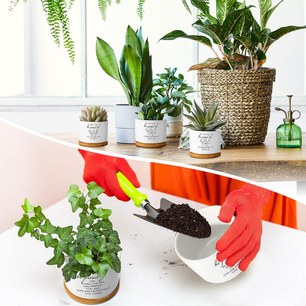 Inbagi set of pots filled with succulents on office desk adding low-maintenance greenery