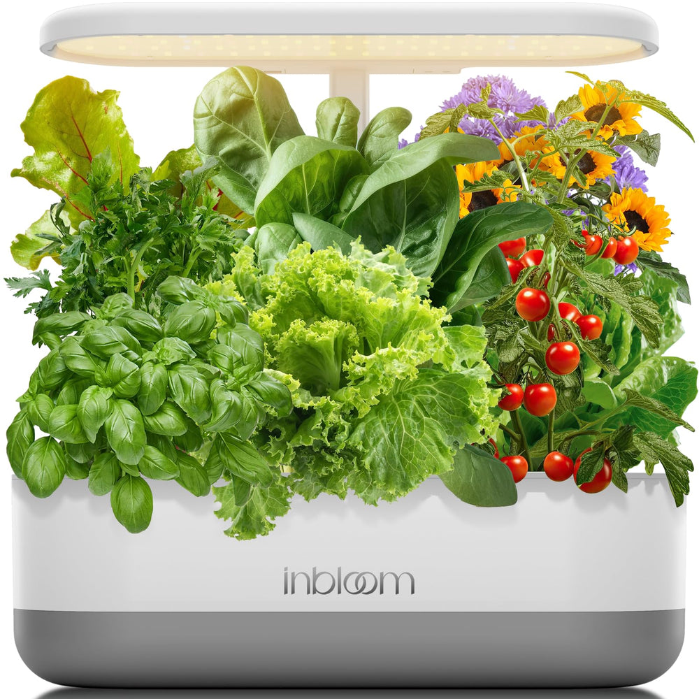 inbloom front view showing compact garden and 12 planting stations for easy countertop growth