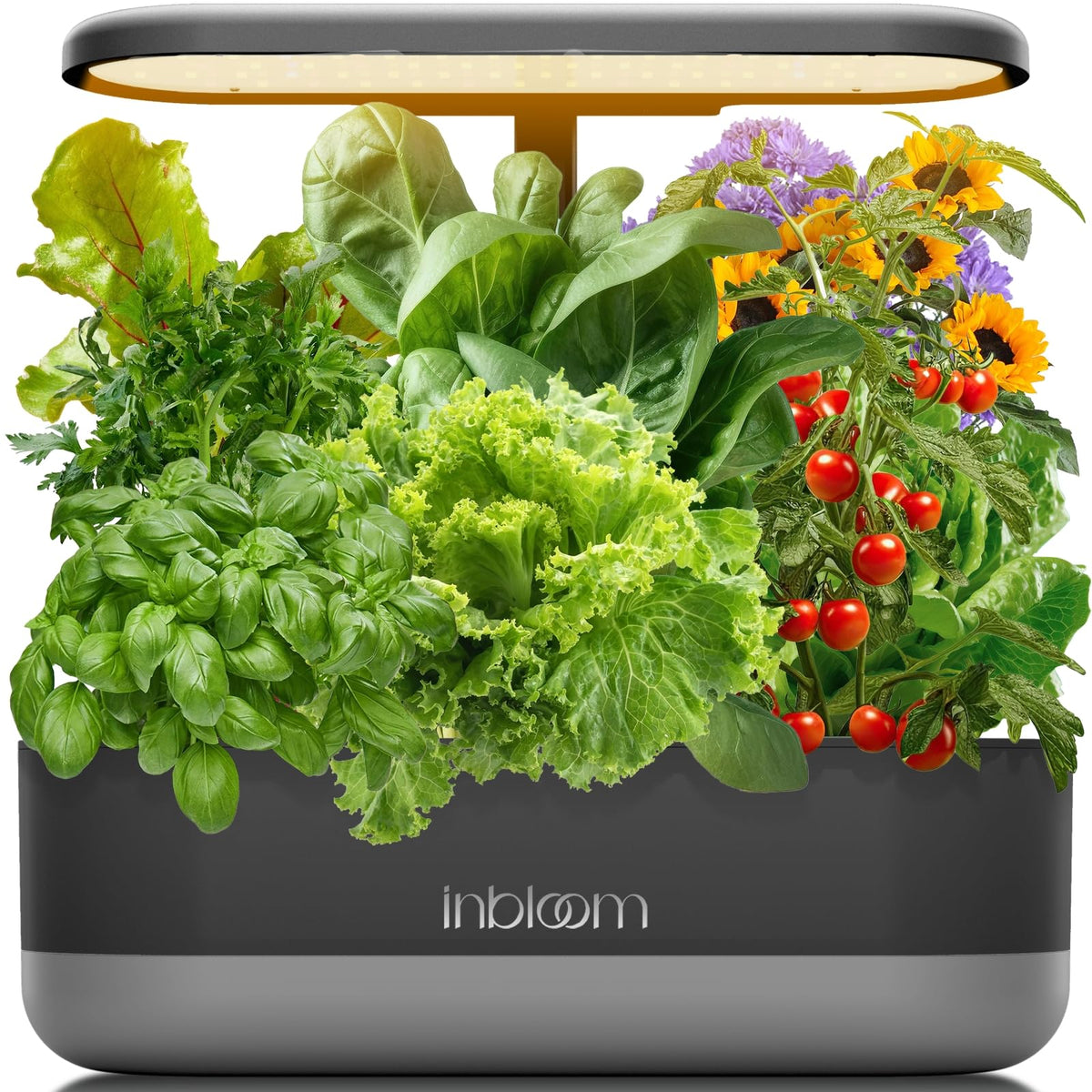 inbloom front view of 12-pod hydroponic system shows compact indoor garden benefit