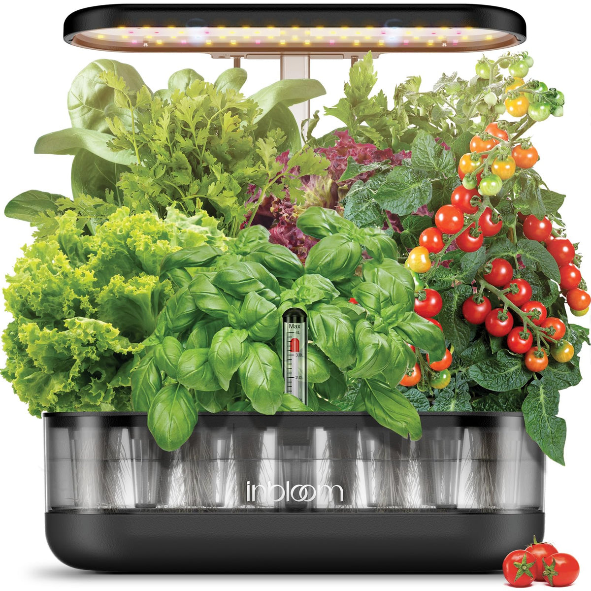 inbloom front view of transparent black hydroponic unit showing modern design and compact benefit