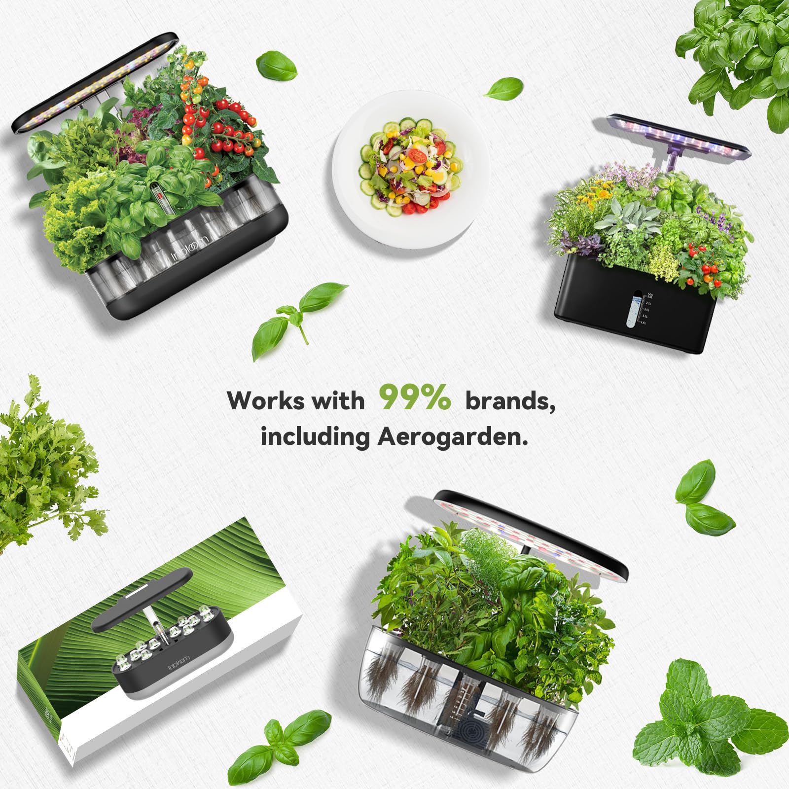 inbloom lifestyle kitchen display showing vibrant indoor flower results
