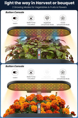 inbloom reservoir with visible water level indicator for easy refill monitoring