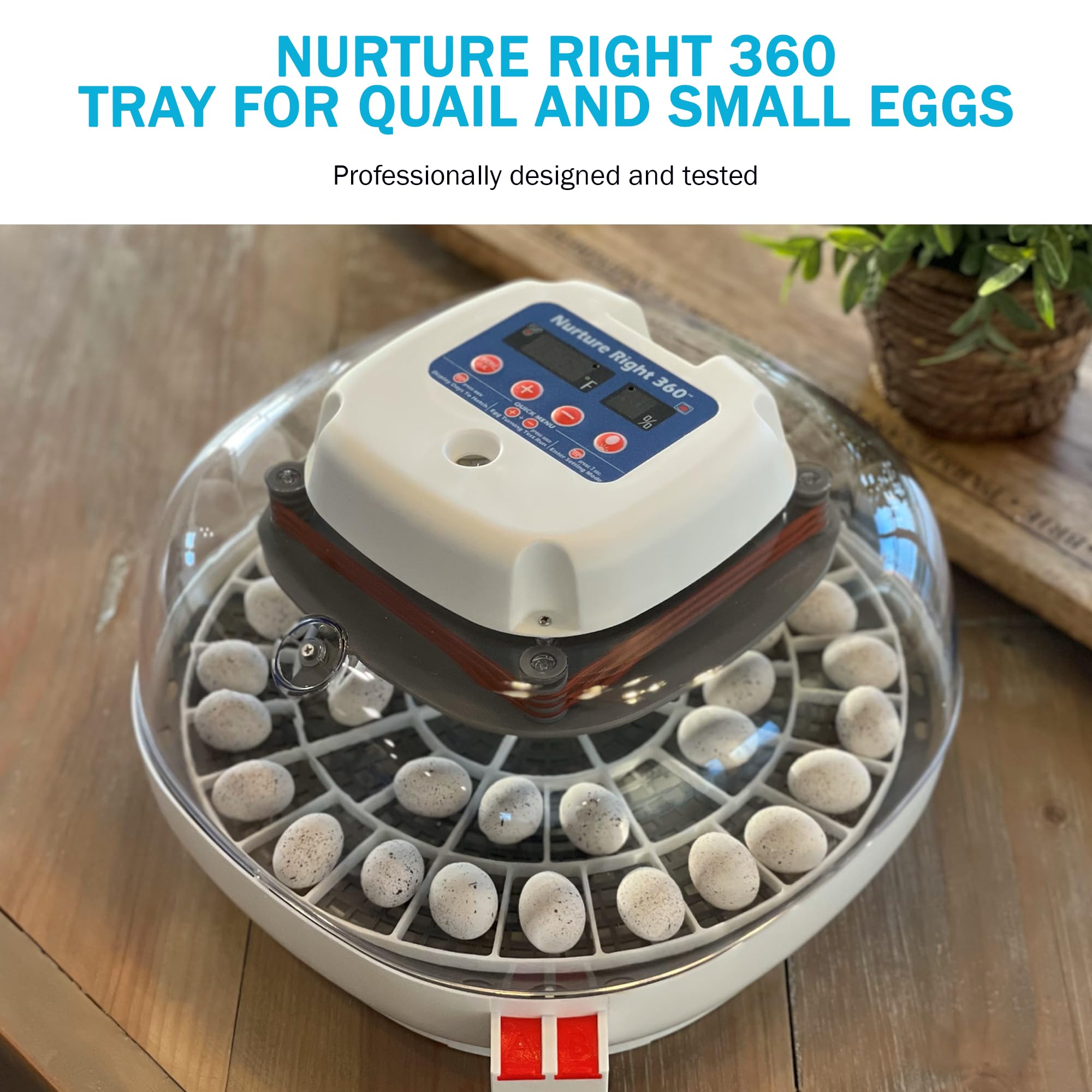 Incubator Warehouse tray being hand-washed to show easy cleaning and hygiene