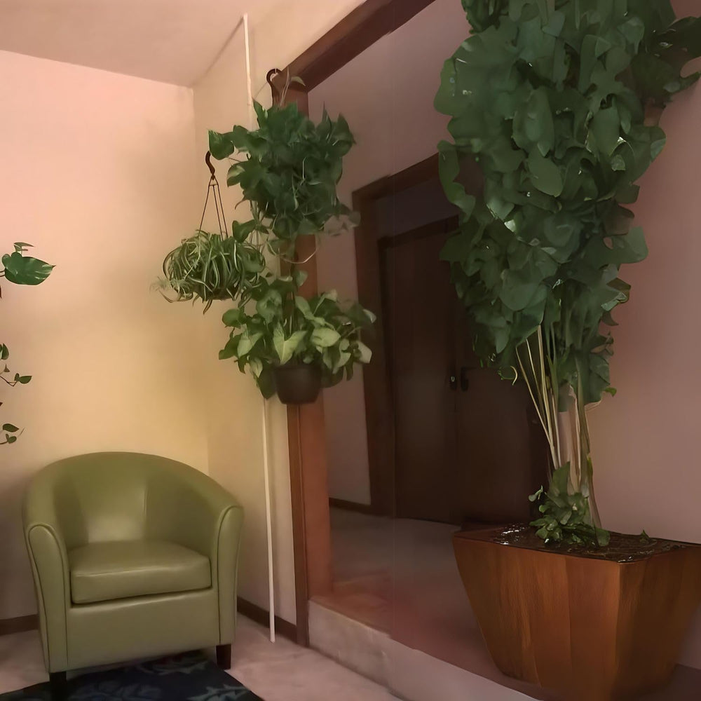 INDOOR PLANT POLE disassembled compactly for easy storage and transport