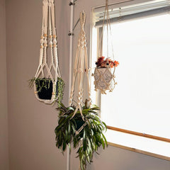 INDOOR PLANT POLE front view showing three hanging plants and tidy display benefit