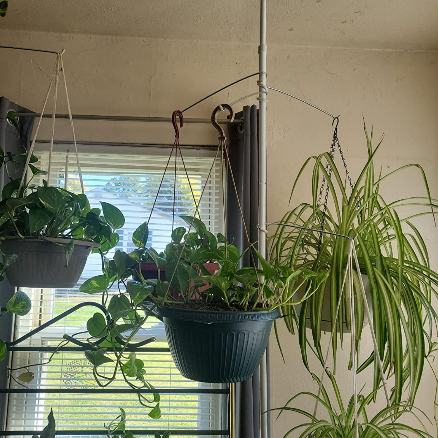 INDOOR PLANT POLE rubber end cap protecting ceiling and adding grip stability