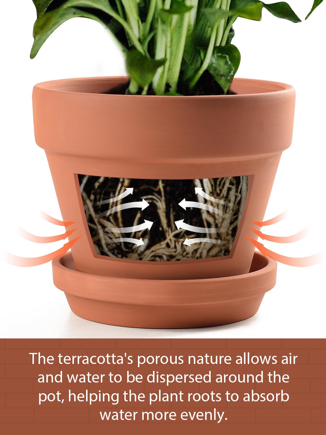 INGOFIN visible drainage hole under pot illustrating reliable water release to prevent pooling