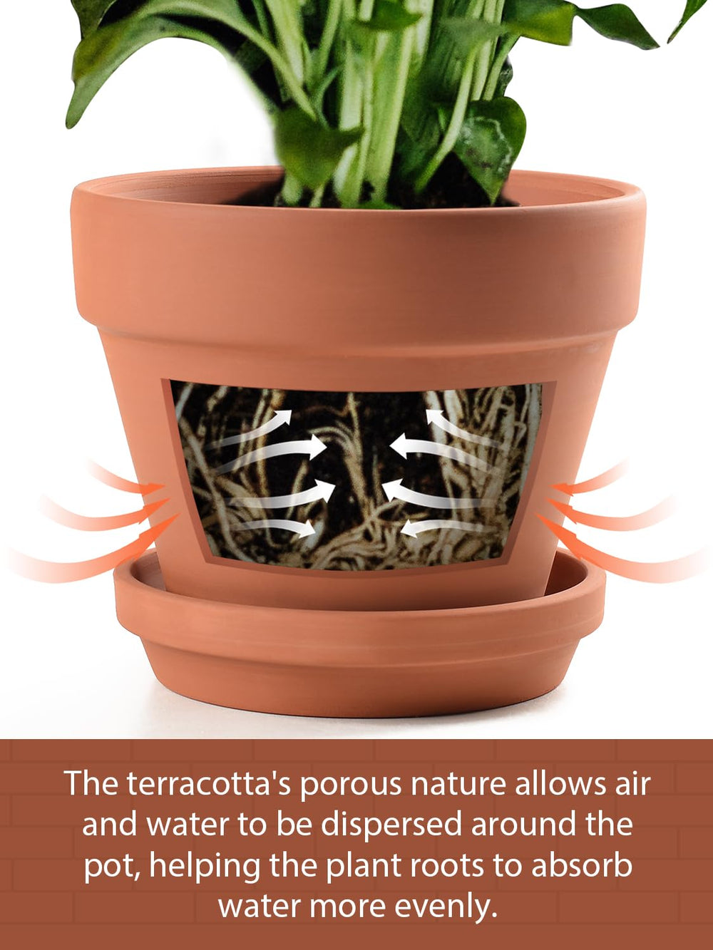 INGOFIN visible drainage hole under pot illustrating reliable water release to prevent pooling