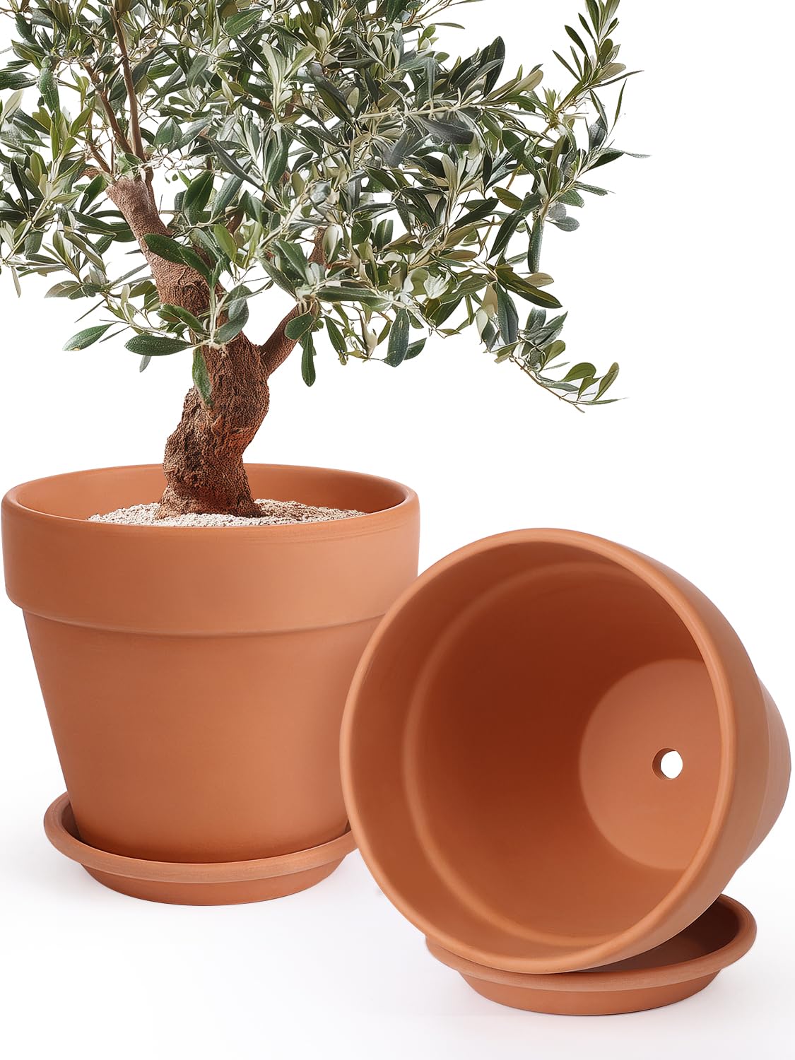 INGOFIN front view of two 12-inch terracotta pots showing classic finish and size benefits