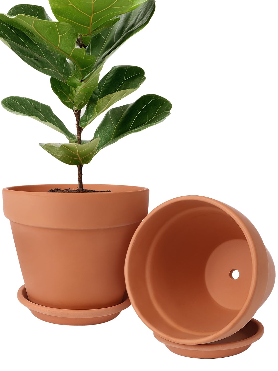 INGOFIN front view of two terracotta pots set showing classic finish and benefit of style