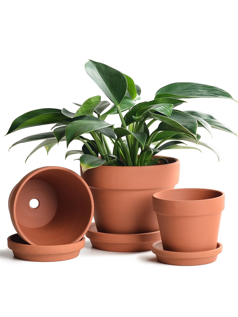INGOFIN front view of three terracotta pots with saucers showing natural finish and styling benefit