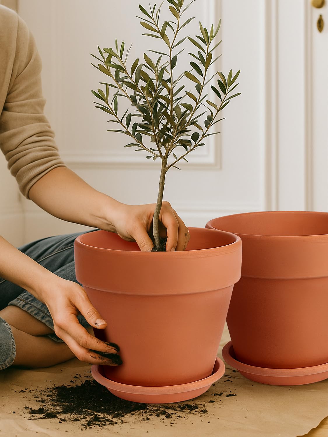 INGOFIN pot in living room with plant showing decorative appeal and indoor air circulation benefit