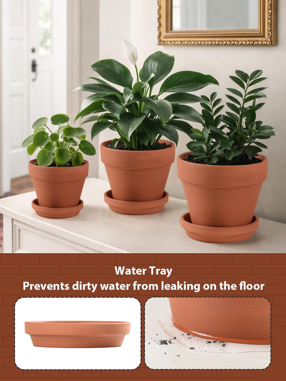 INGOFIN planting succulents in the set demonstrating ready-to-use arrangement benefits