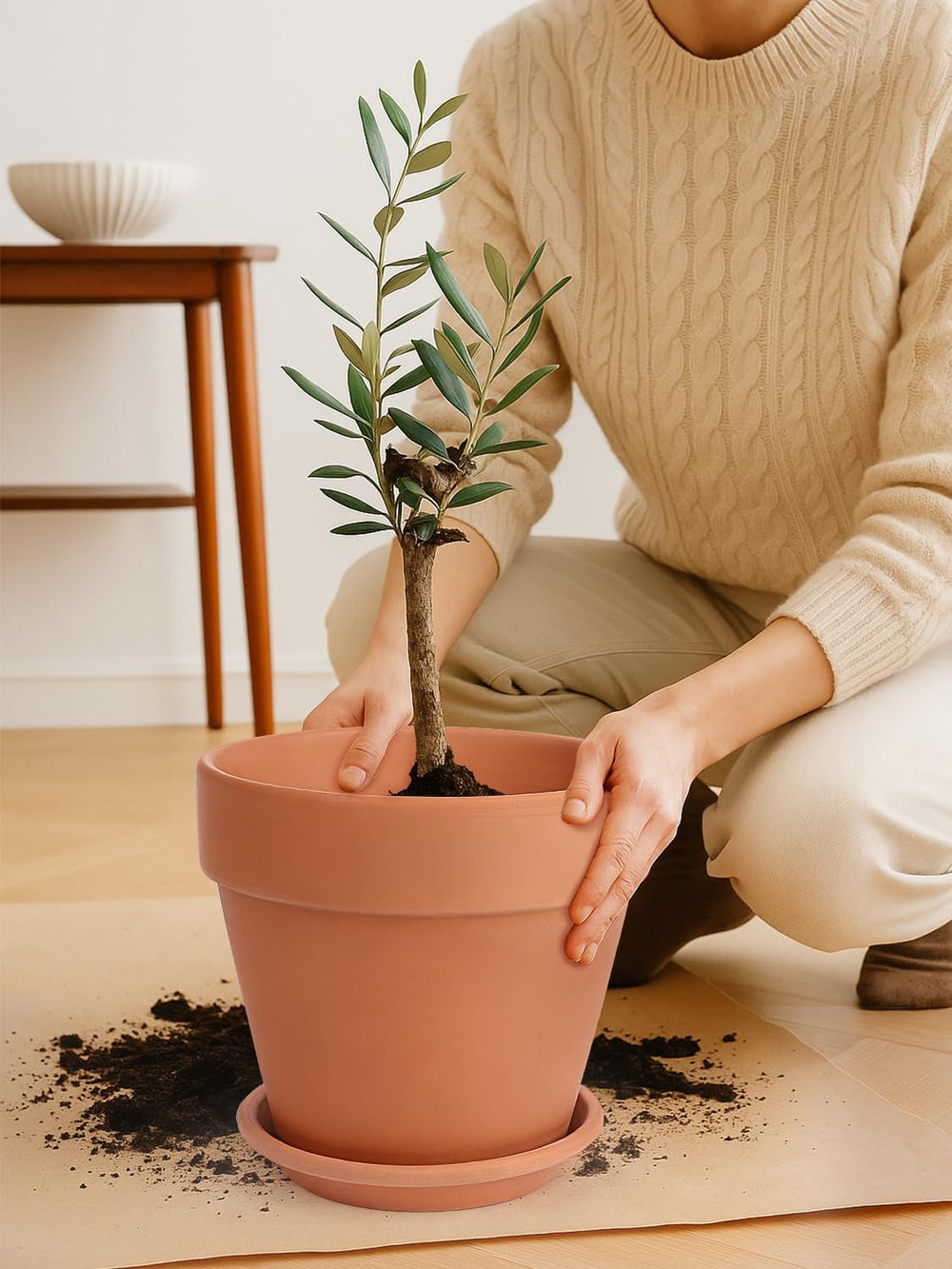 INGOFIN planted pot on living room table showing use and benefit of indoor decor