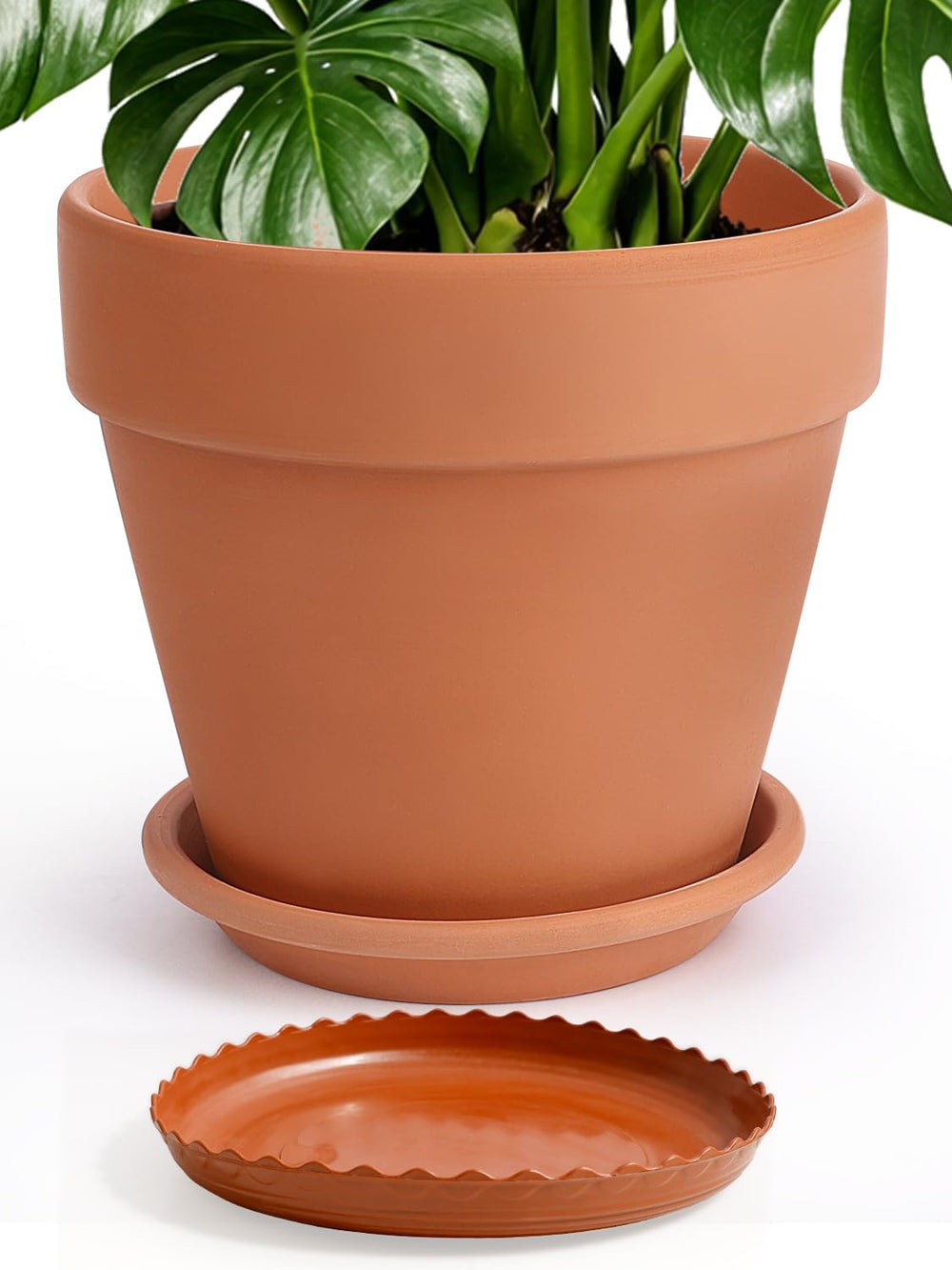 INGOFIN front view of 12-inch terracotta pot showing classic finish and benefit of aesthetic appeal