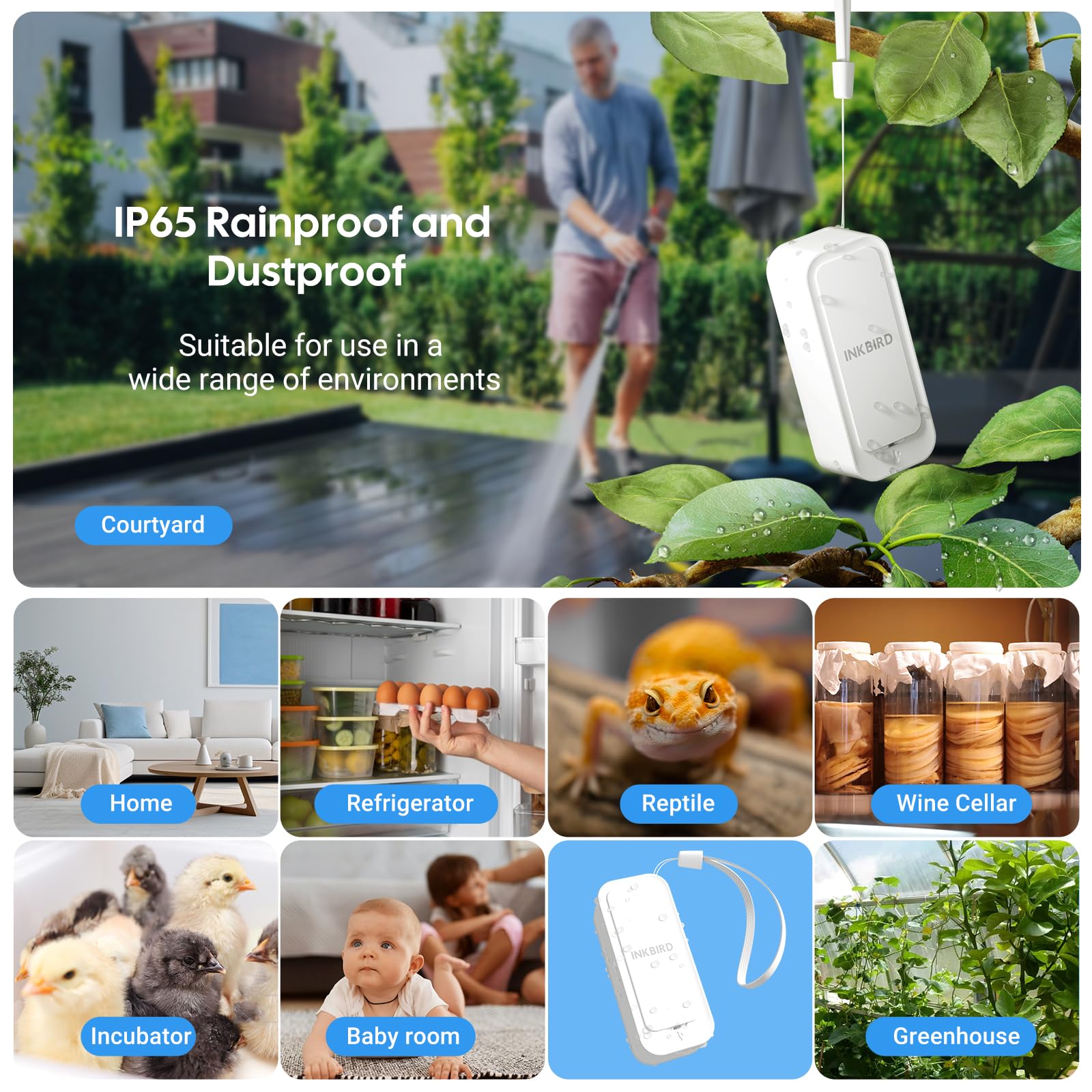 Inkbird sensor placed among greenhouse plants showing growth monitoring benefit