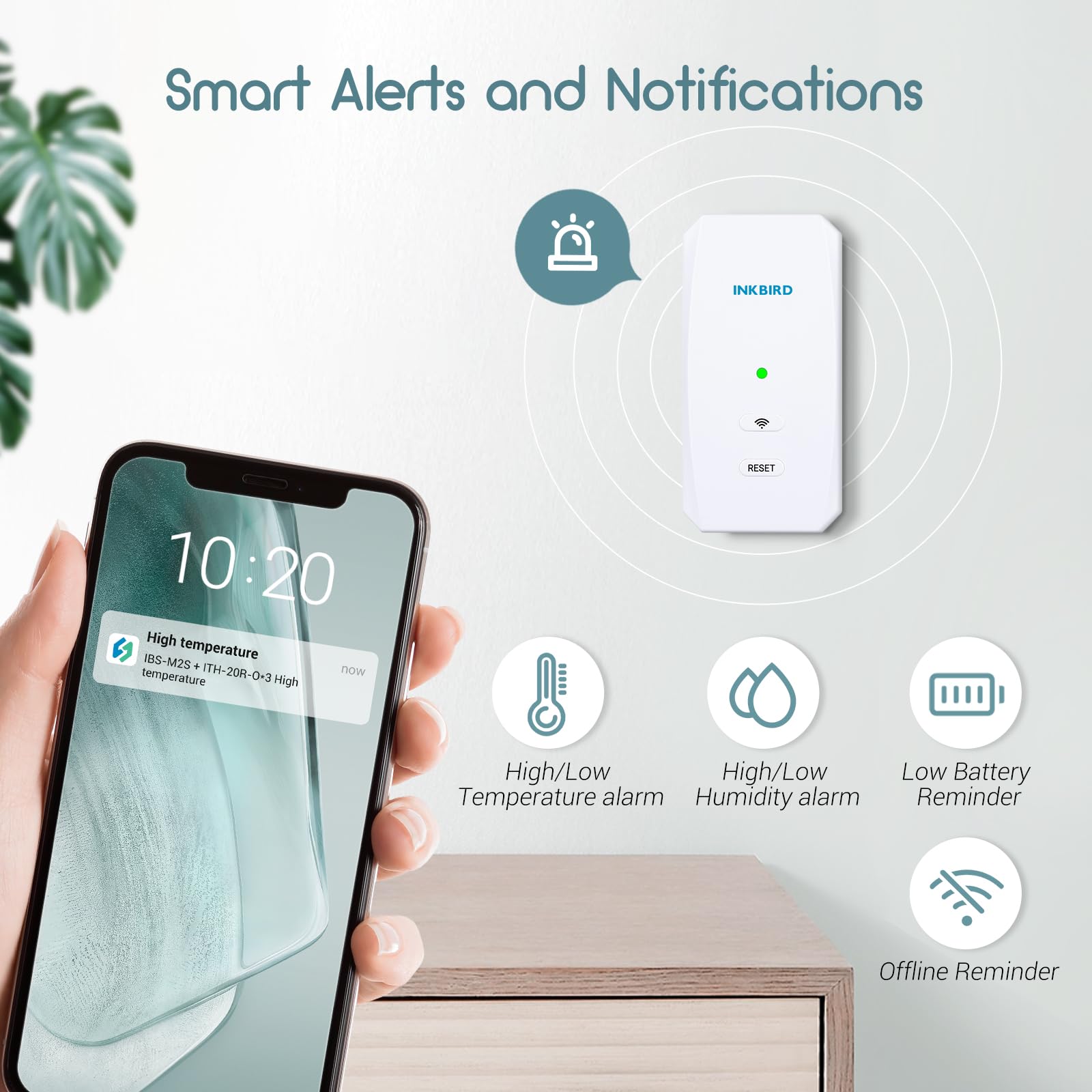Inkbird sensor inside greenhouse helping maintain plant-friendly humidity
