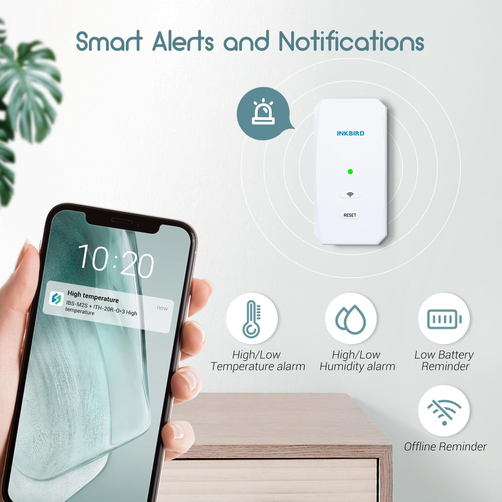 Inkbird sensor inside greenhouse helping maintain plant-friendly humidity