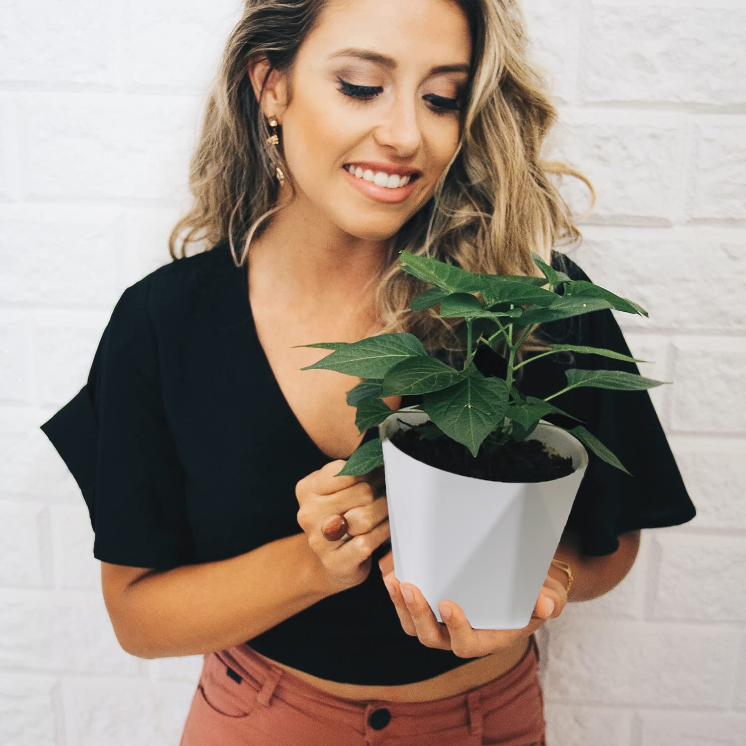 InmeRun set styled on a windowsill demonstrating space-saving plant display