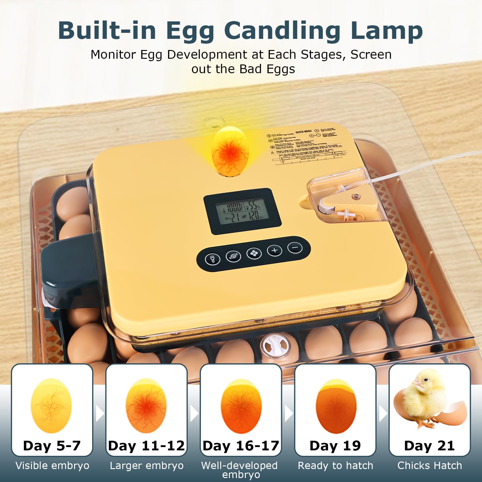 innhom automatic turning mechanism highlighting hands-off egg rotation