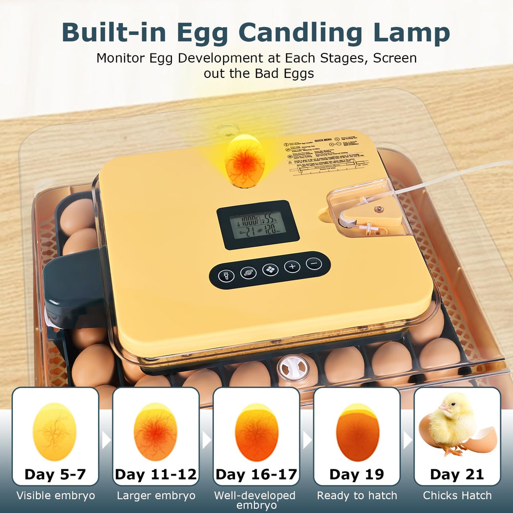 innhom automatic turning mechanism highlighting hands-off egg rotation